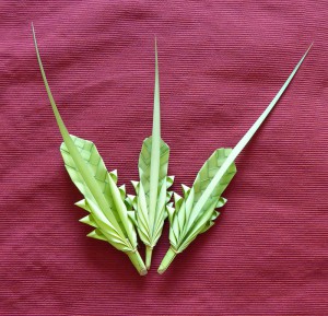 Palmzweige