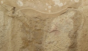 Stierrelief