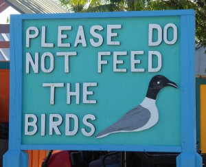 Do not feed the birds!