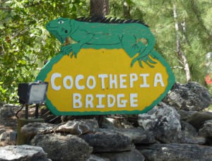 Cocothepia Bridge