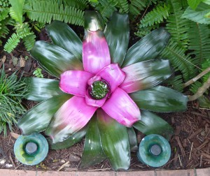 Blume