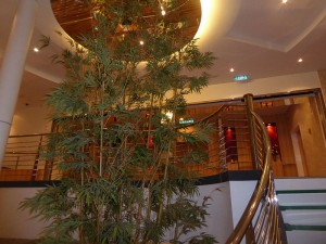 Wendeltreppe