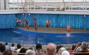 Splish Splash