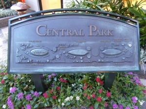 Karte des Central Parks