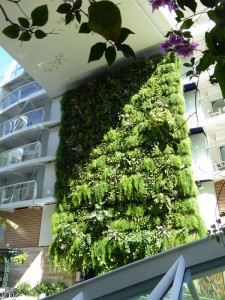 Living Wall