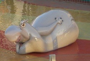 H2O Zone