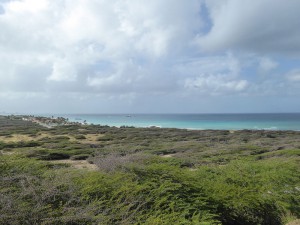 Palm Beach Noord