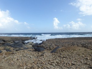 Nordküste