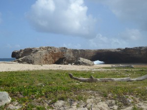 Baby Natural Bridge