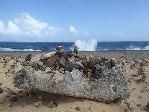 Rock Garden