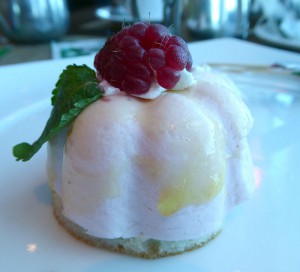 Himbeer-Panna-Cotta