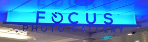 Focus Photo Gallery
