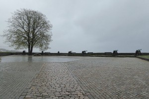 Festung Christiansholm