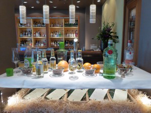 Alle Gins und Tonic Waters