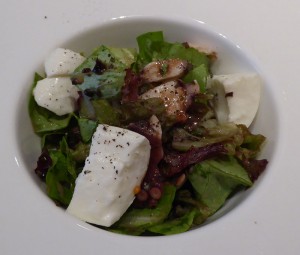Pulpo marinato, Mozzarella, Fagioli e Pomodori