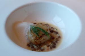 gebratene Jakobsmuschel mit Gurken-Linsenragout