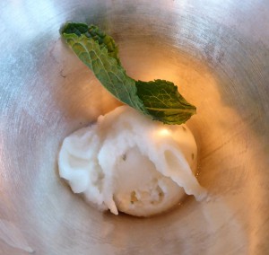 Sorbet