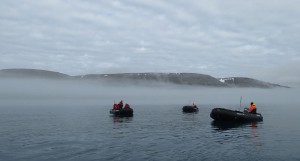 Hopen im Nebel