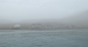 Hopen im Nebel