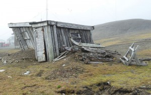 Hütte mit Hundeschlitten