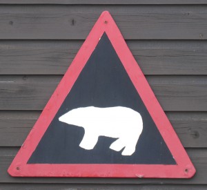 Eisbären-Warnung