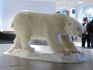 Eisbär am Gepäckband