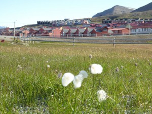 Wohnviertel in Longyearbyen