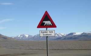 Achtung Eisbär!