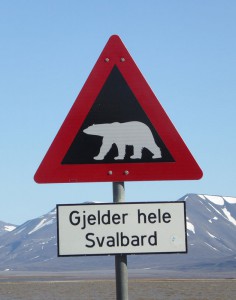 Achtung Eisbär!
