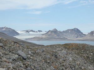 Trygghamna Fjord