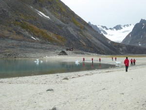 Gravneset