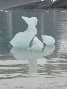 "sterbender Schwan"