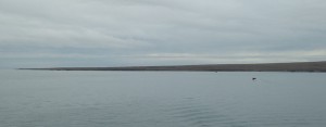Gråhuken