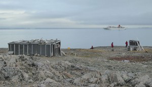Gråhuken