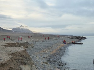 Gråhuken