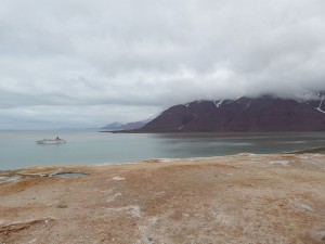 Blick auf den Bockfjord und das Old Red Gestein