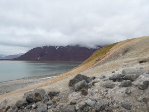 Blick auf den Bockfjord und das Old Red Gestein