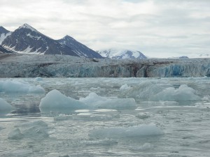 Monacobreen