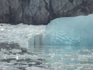 Monacobreen