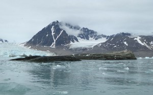 Monacobreen
