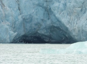 Monacobreen