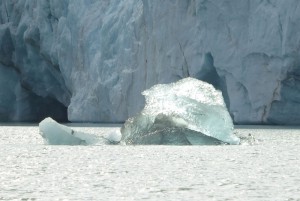 Monacobreen