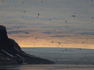 Alkefjellet
