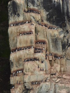 Alkefjellet