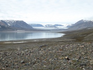 Blick zum Fjordende mit Rentiersuchbild