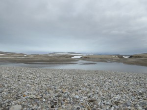 Palanderbukta