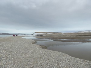 Palanderbukta