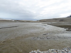 Palanderbukta