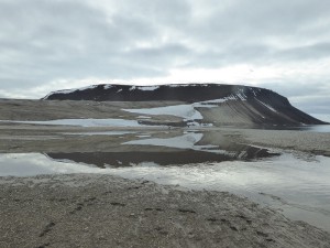 Palanderbukta