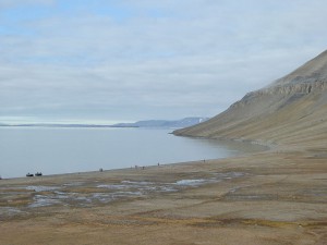 Blick über die Bucht mit Sumpfebene und dem Walrossfriedhof